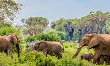 3 Days Samburu